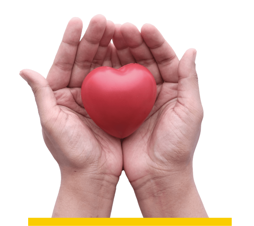 Hands holding an apple