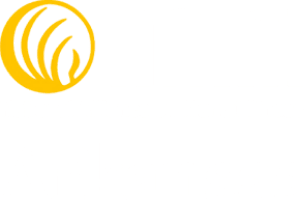 NAMI Arkansas Logo